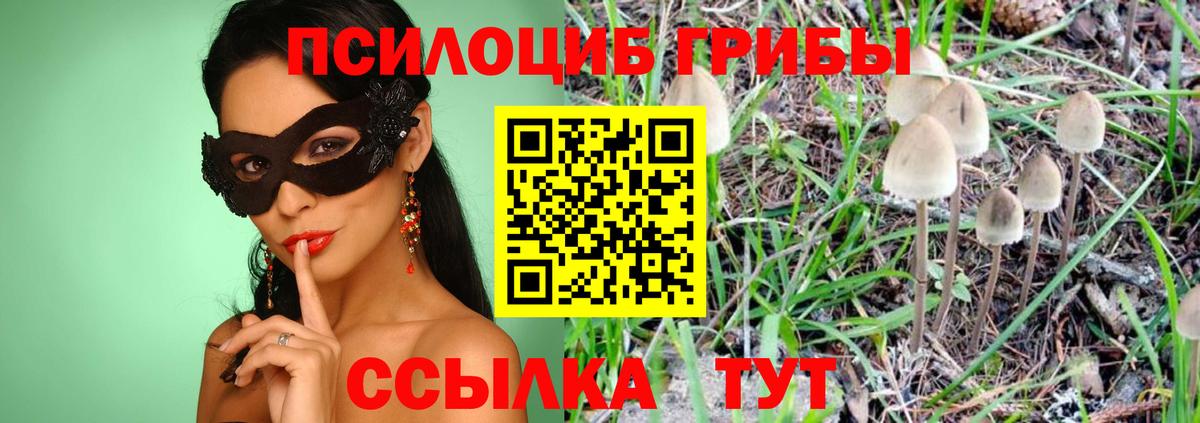 Галлюциногенные грибы мицелий  Вход с VPN  Нурлат  Псилоцибиновые грибы ЛСД 